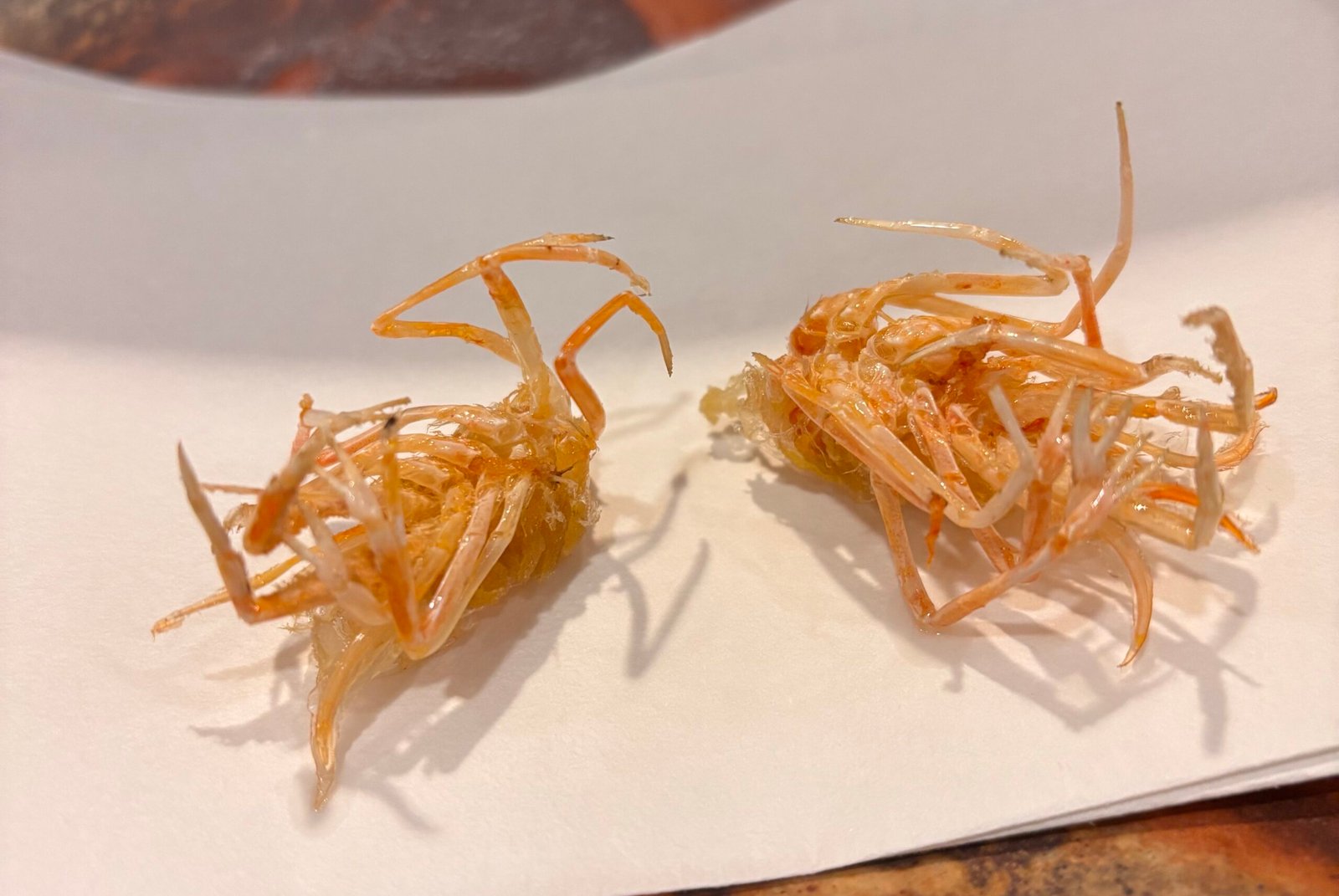 Crispy Fried Shrimp Legs Tempura