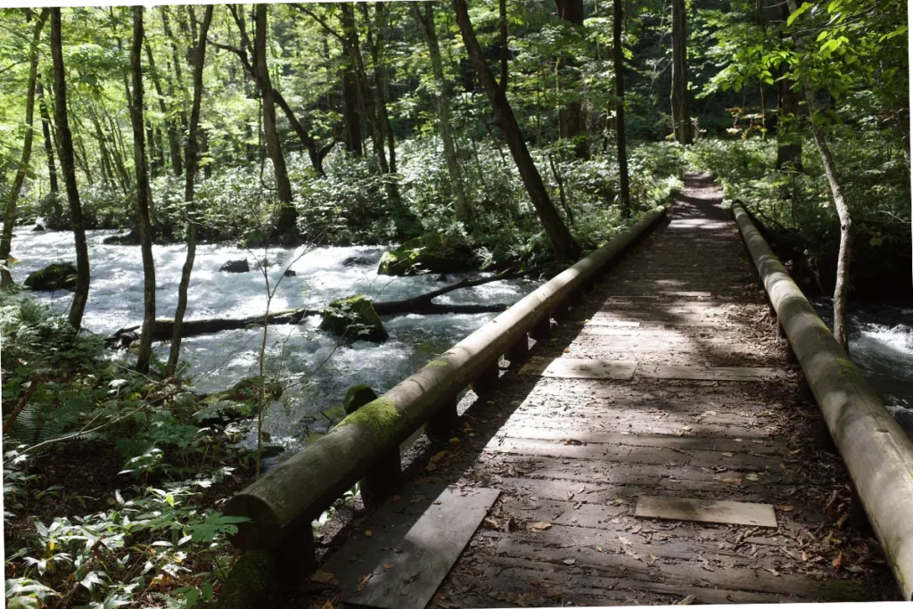 oirase gorge bridge