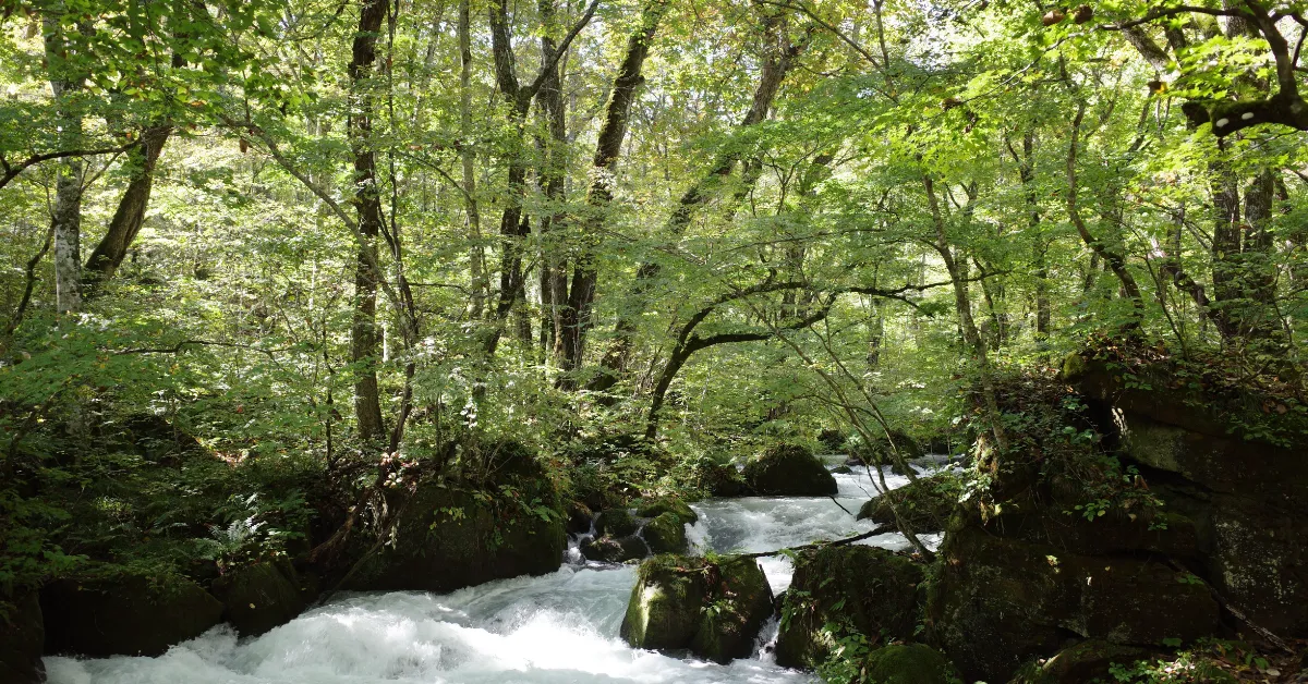 oirase gorge